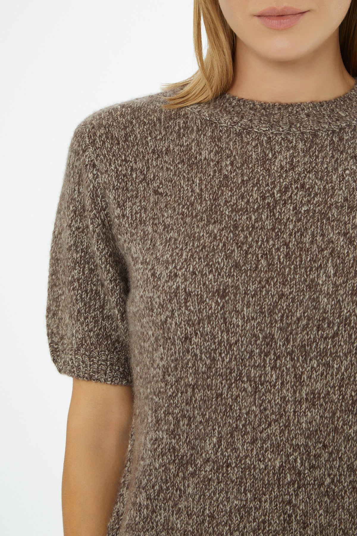 Brown Short-Sleeve Round-Neck Blouse