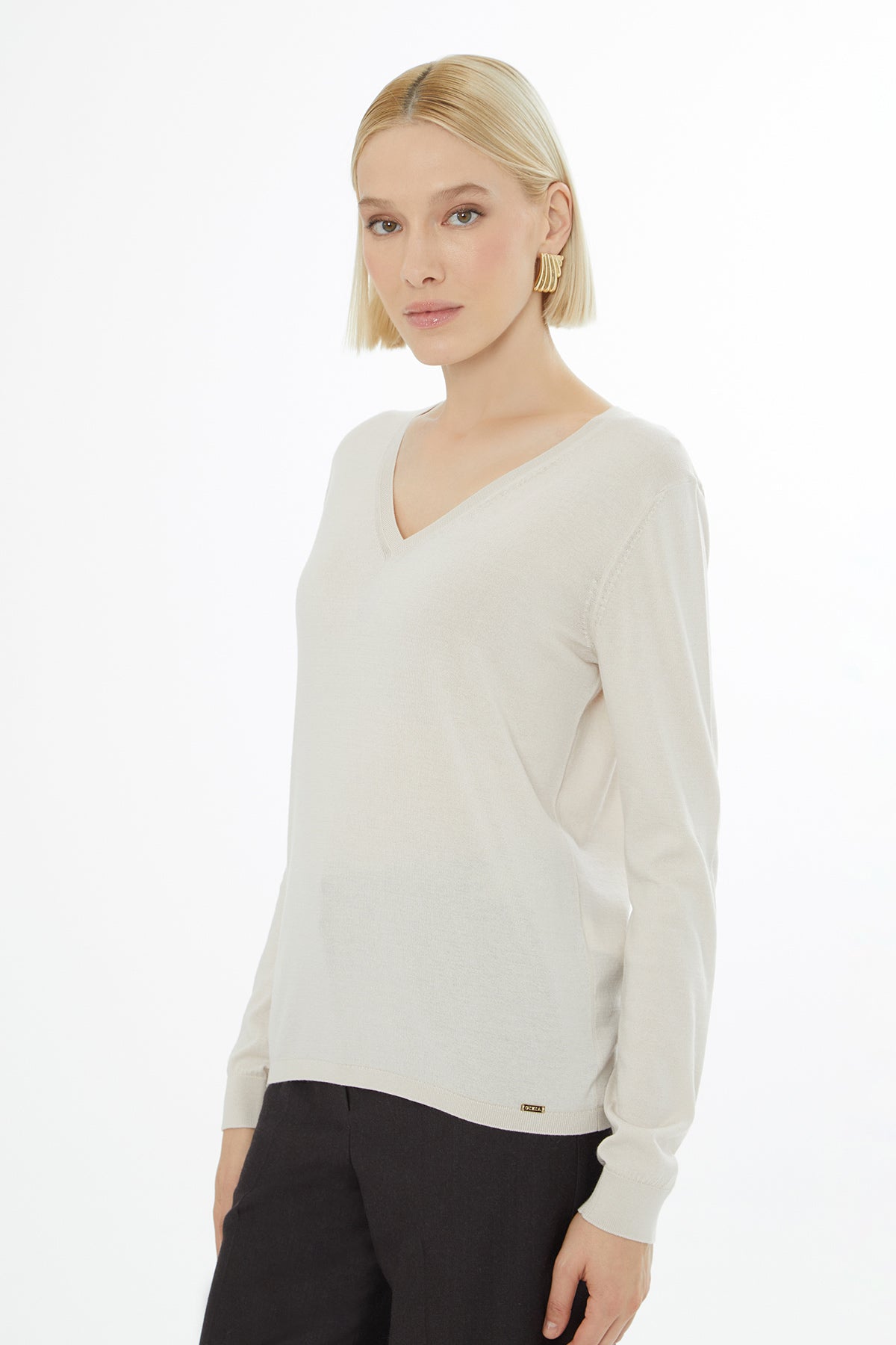Beige Long-Sleeve V-Neck Blouse