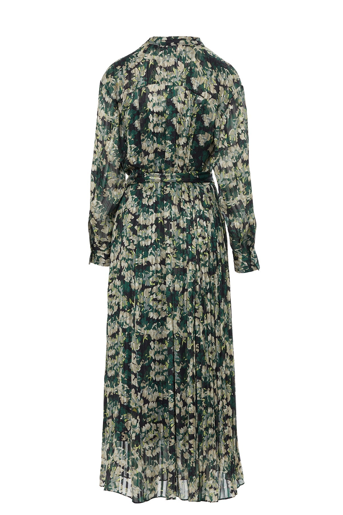 Printed Pleated Lined Long Dress