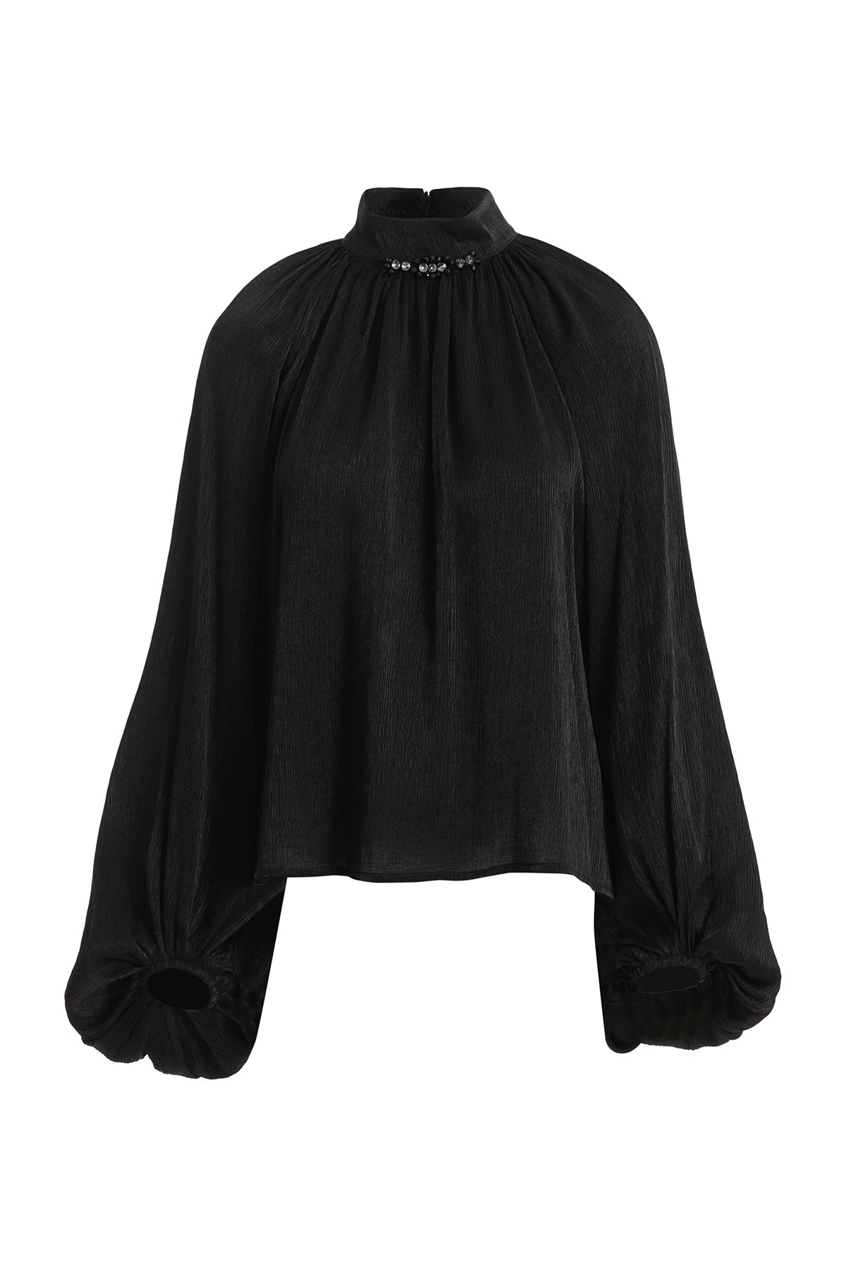 Black Balloon Sleeve Blouse with Embroidery