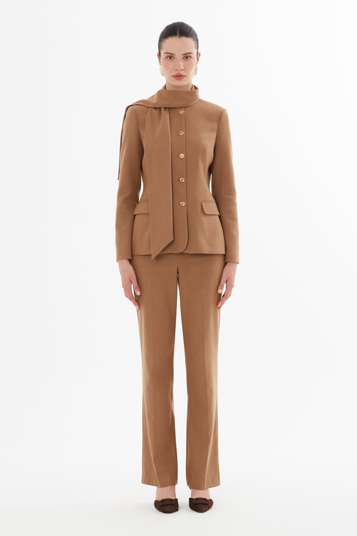 Brown Shawl-Collared Detail Suit