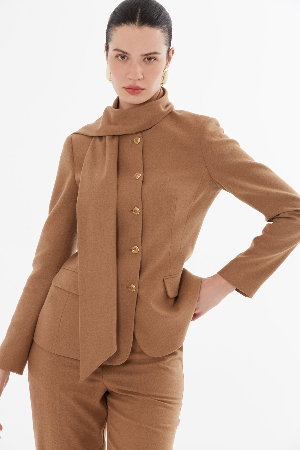 Brown Shawl-Collared Detail Suit