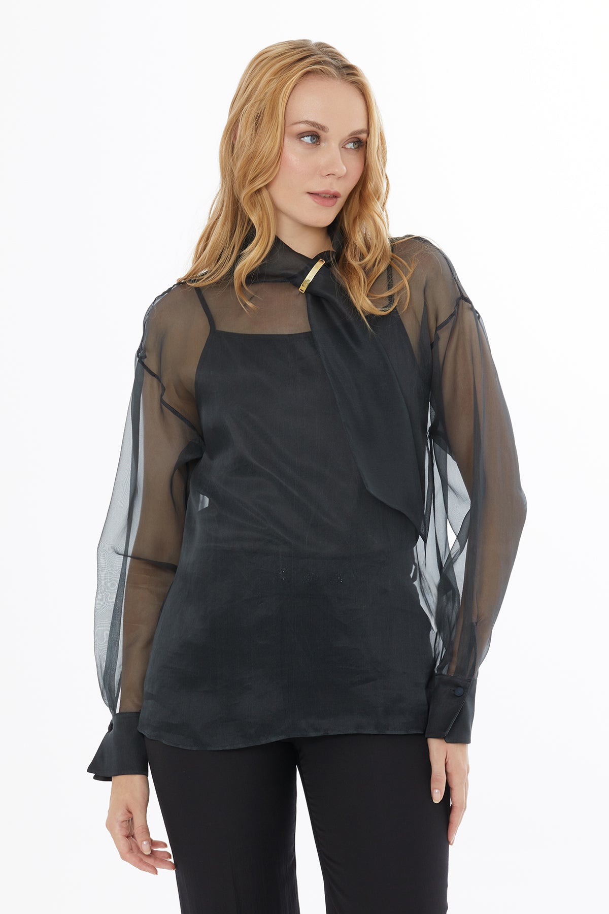 High Neck Sheer Blouse with Back Center Button Closure N