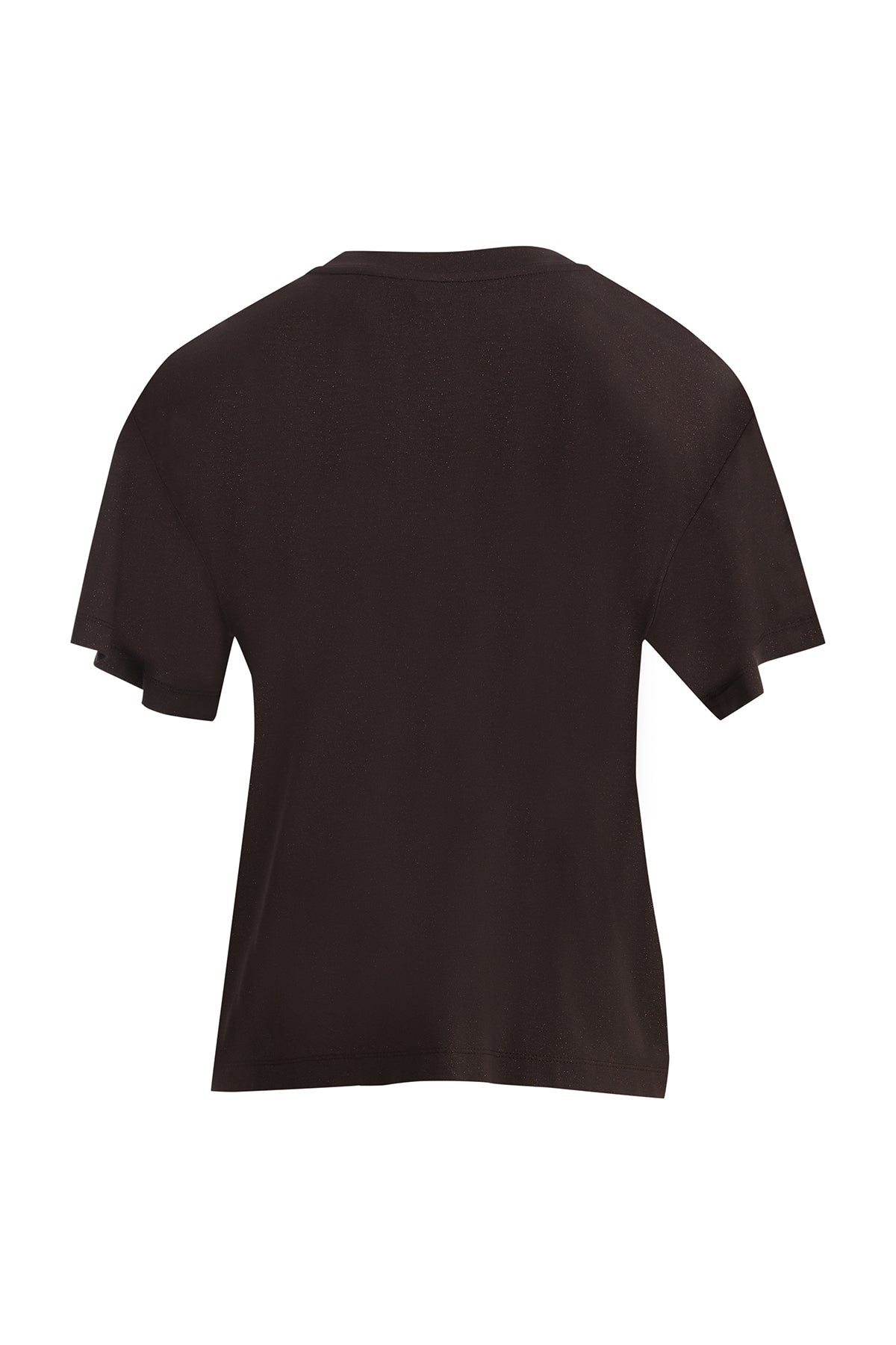 Brown Glitter Embroidered T-Shirt