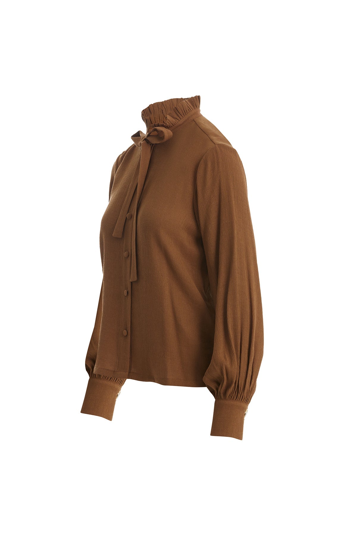 Brown Tie Neck Blouse