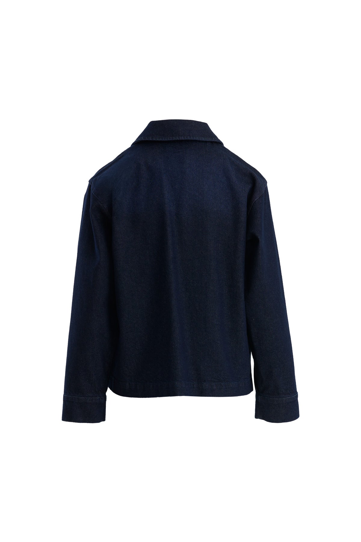 Blue Canvas Embroidered Denim Jacket